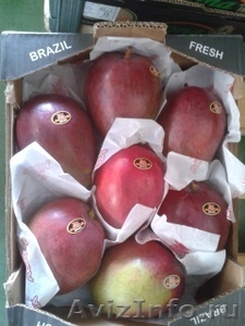 Продаем манго из Испании - Изображение #1, Объявление #1455742