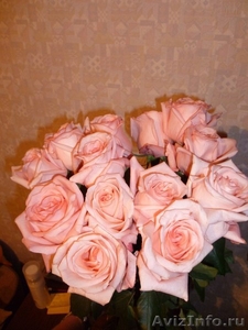 Розы и оригинальные букеты с бесплатной доставкой. - Изображение #3, Объявление #1530528