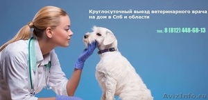 Ветеринарная клиника в Спб. Круглосуточно - Изображение #1, Объявление #1560052