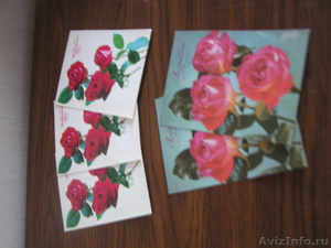 5 почтовых открыток "Поздравляю" с розами - Изображение #2, Объявление #1576565