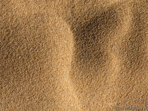 Намывной песок от АктивСтрой - Изображение #4, Объявление #1593596