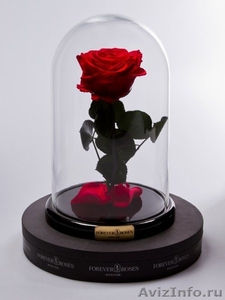 Роза в колбе  - Изображение #1, Объявление #1602123