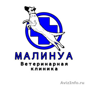 Кастрация кошек и собак в Санкт-Петербурге - Изображение #1, Объявление #1644071