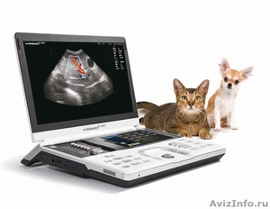 Ультразвуковое исследование внутренних органов кошек и собак - Изображение #2, Объявление #1644067